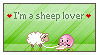 I'm a sheep lover