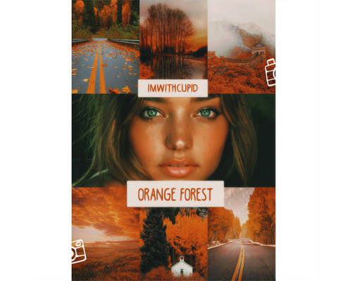 orangeforestpsd