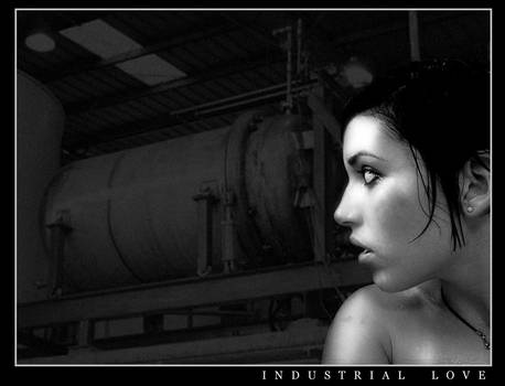 Industrial Love v2