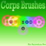 Corps Brushes