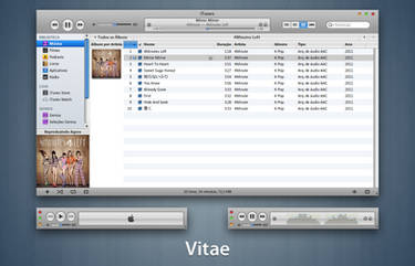 Vitae iTunes 10 for Windows