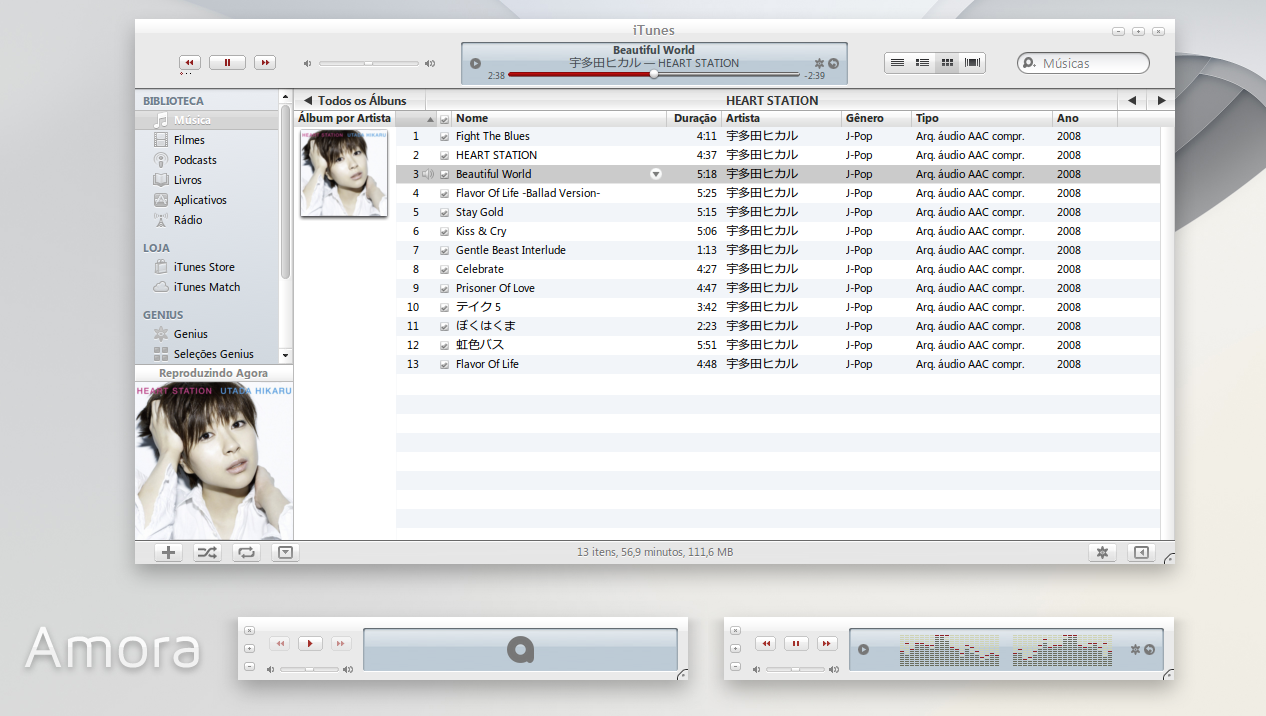 Amora iTunes 10 for Windows