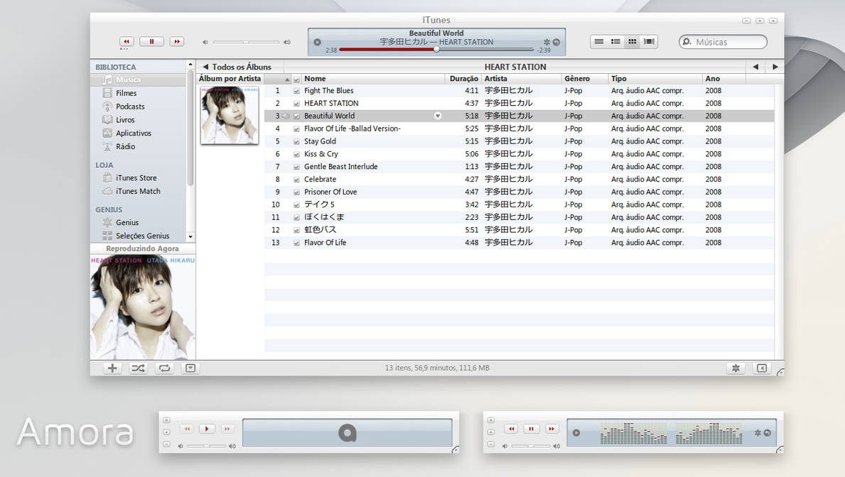 Amora iTunes 10 for Windows by 1davi