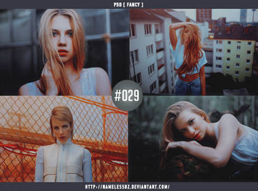 PSD #29 Fancy