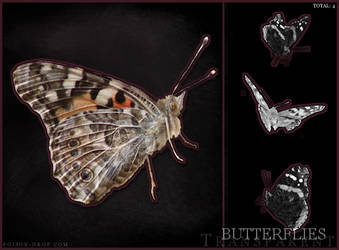 Transparent Butterfly Stock