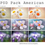 PSD PACK American Flag Effects.