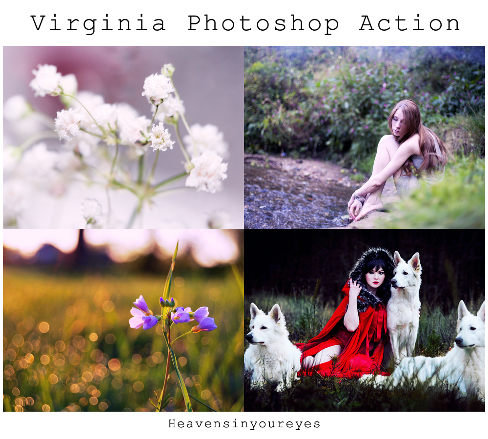 Virginia Photoshop Action (DOWNLOAD FOR FREE)