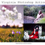 Virginia Photoshop Action (DOWNLOAD FOR FREE)