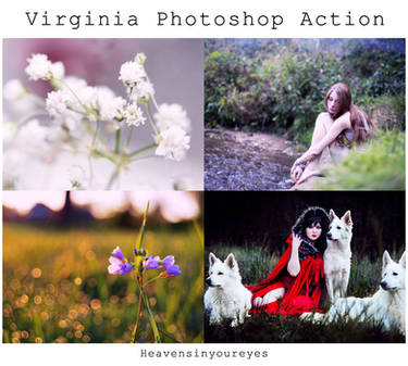 Virginia Photoshop Action (DOWNLOAD FOR FREE)