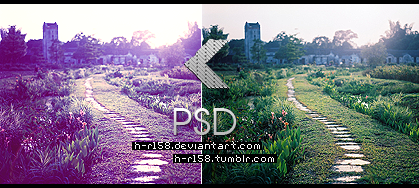 psd3