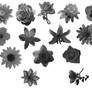 Brushes - Flowers - Various