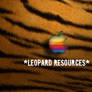 Leopard Resources
