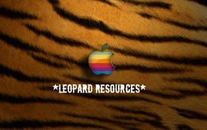 Leopard Resources