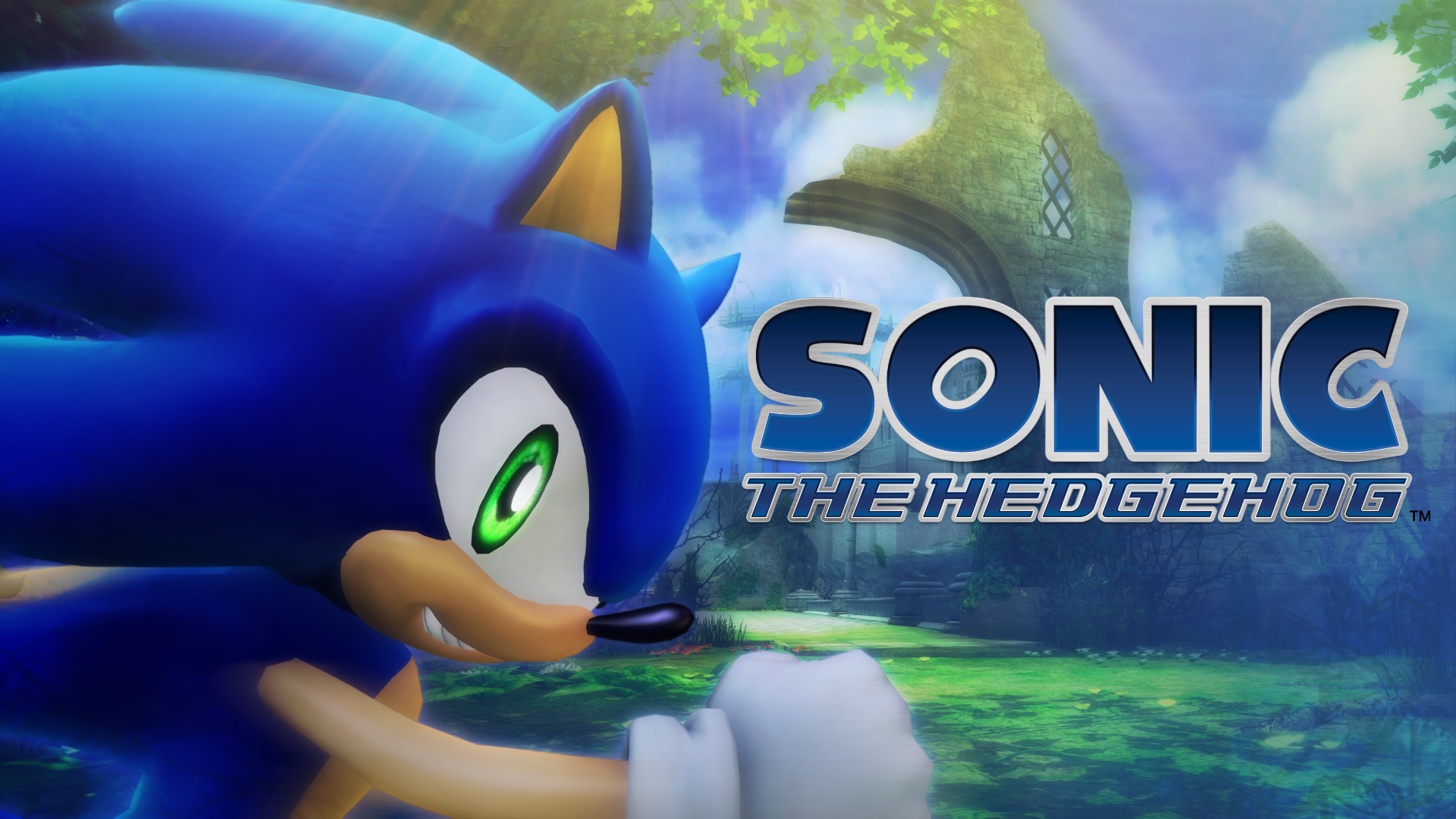 Download Sonic P-06