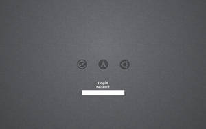 slim linen theme