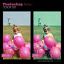 Photoshop Action - Color 013