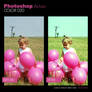 Photoshop Action - Color 020