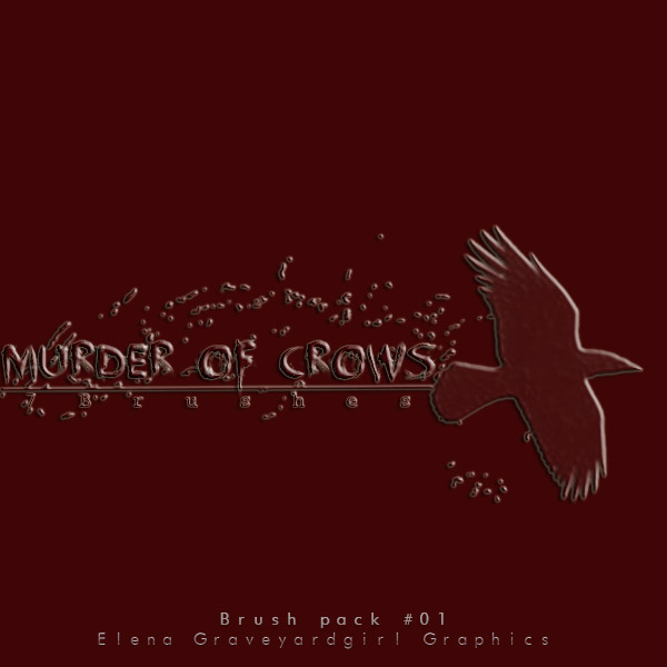 Murder Of Crows | Brush Pack #01