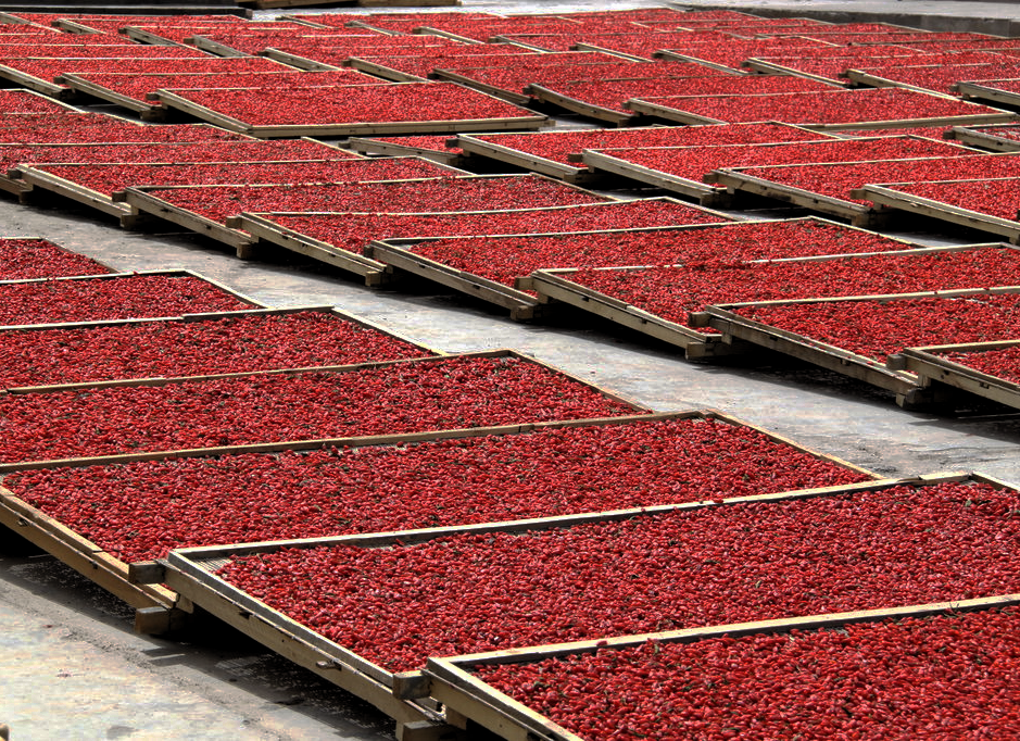 Goji berries drying by flety007 on DeviantArt