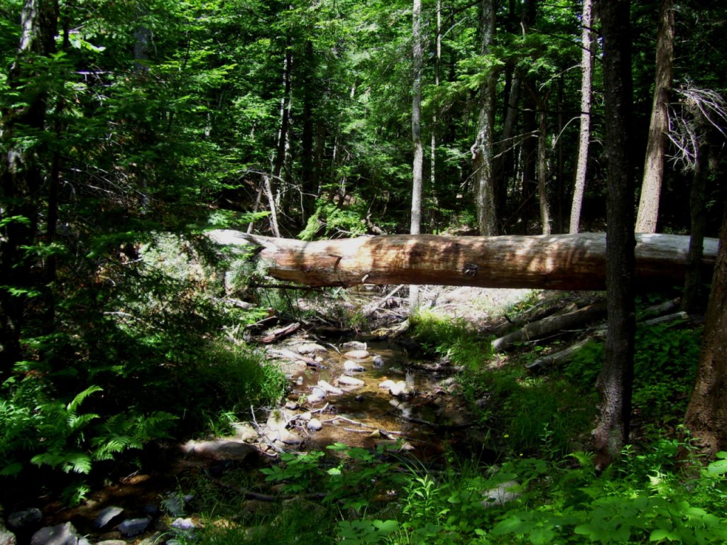 Log Bridge