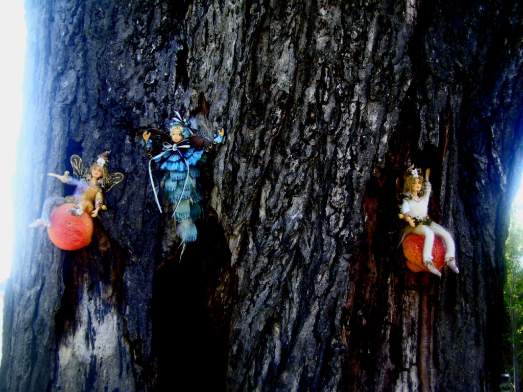 Tree Fairies