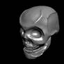 3D Skull Model