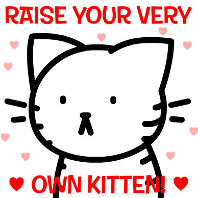 Raise Your Very Own Kitten