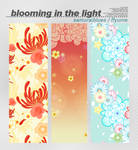 blooming in the light