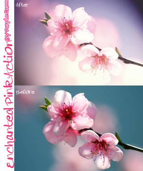 Enchanted Pink Action