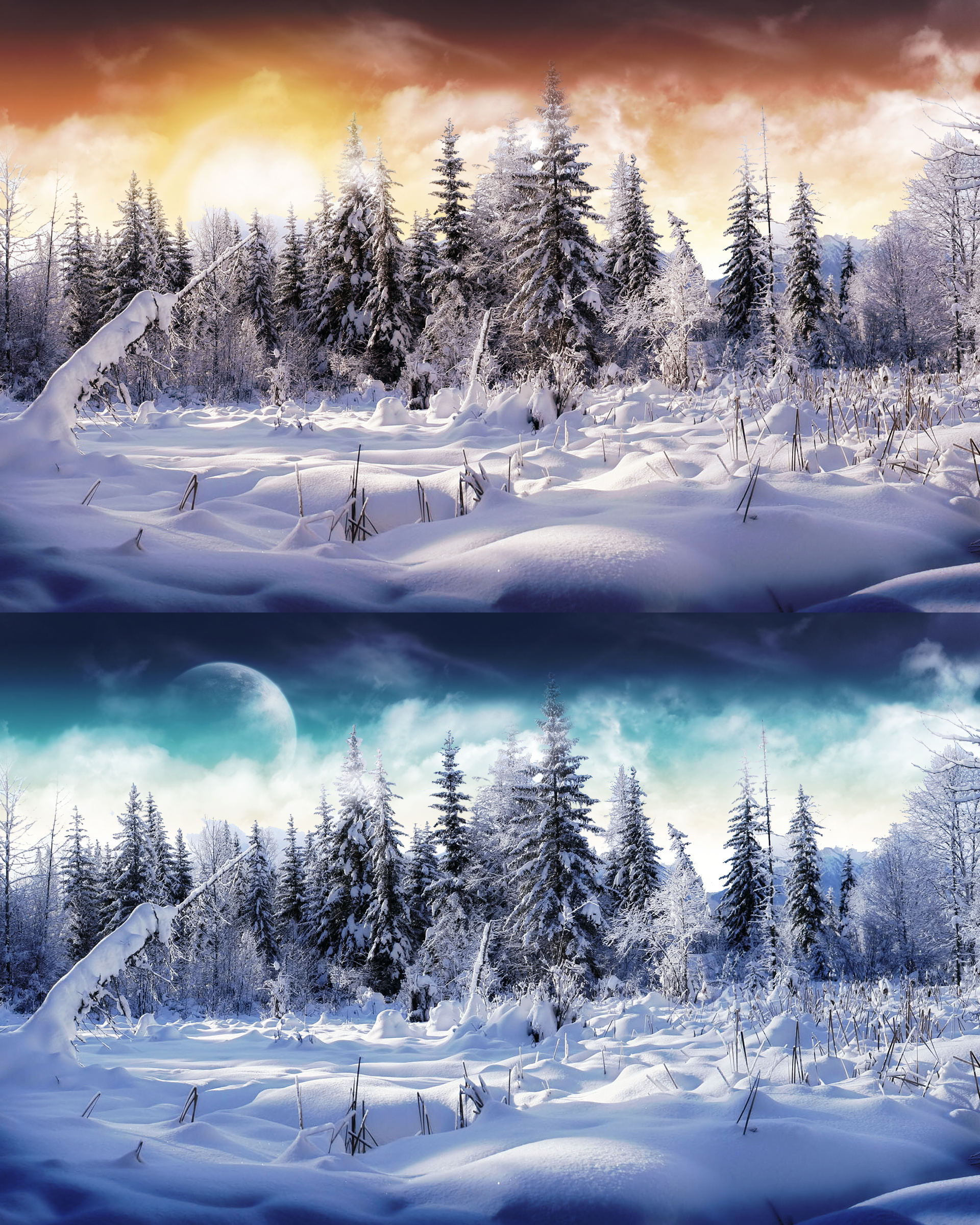 Winter Wonderland 2