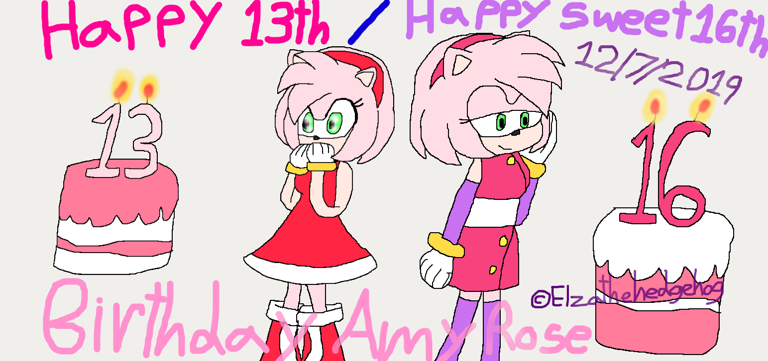 Happy 13th(And Sweet 16th)Birthday Amy Rose by Elzathehedgehog on