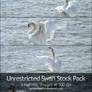 Expressive Swan Stock Pack