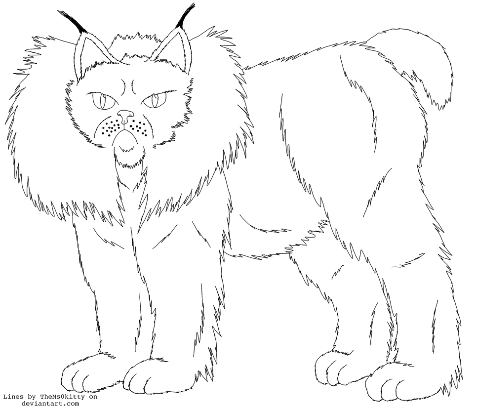 Floof Cat Long Leg Design Lines By Thems0kitty On Deviantart
