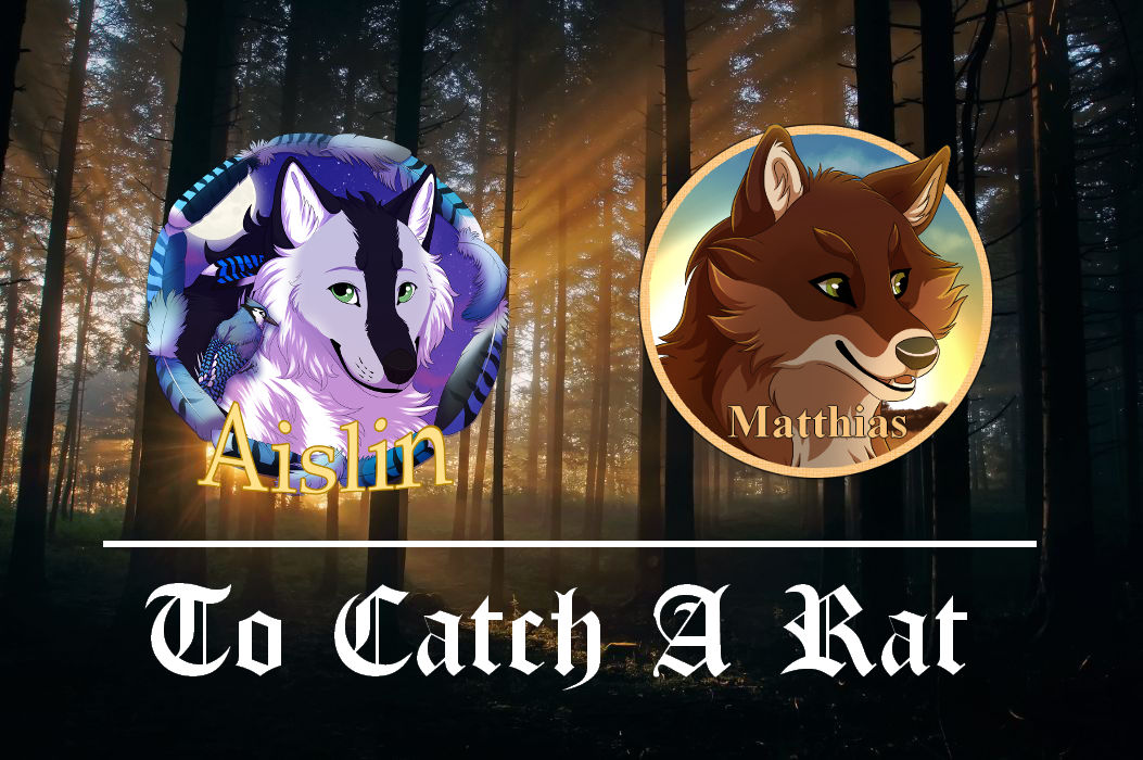 DotW | To Catch A Rat by 4everhound on DeviantArt