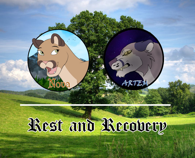 DotW | Rest and Recovery by 4everhound on DeviantArt
