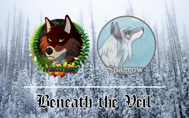 DotW | Beneath the Veil by 4everhound on DeviantArt