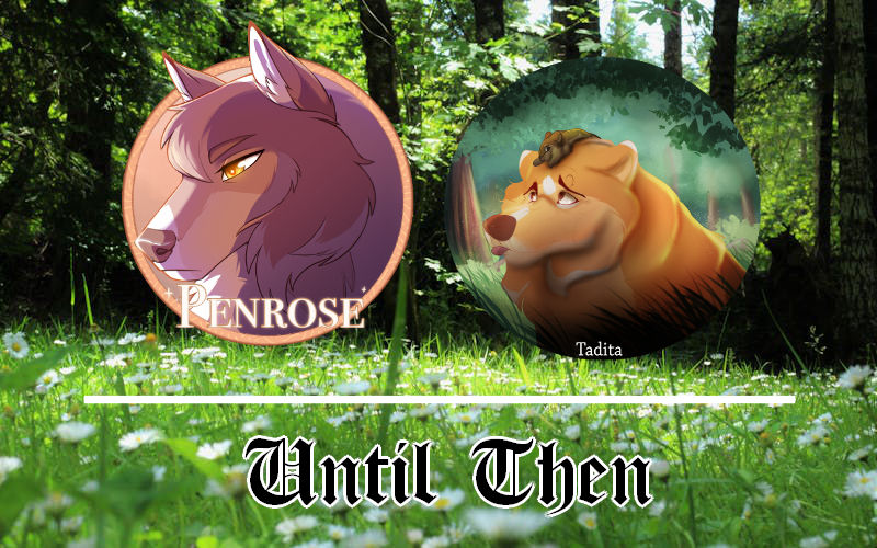 DotW | Until Then by 4everhound on DeviantArt