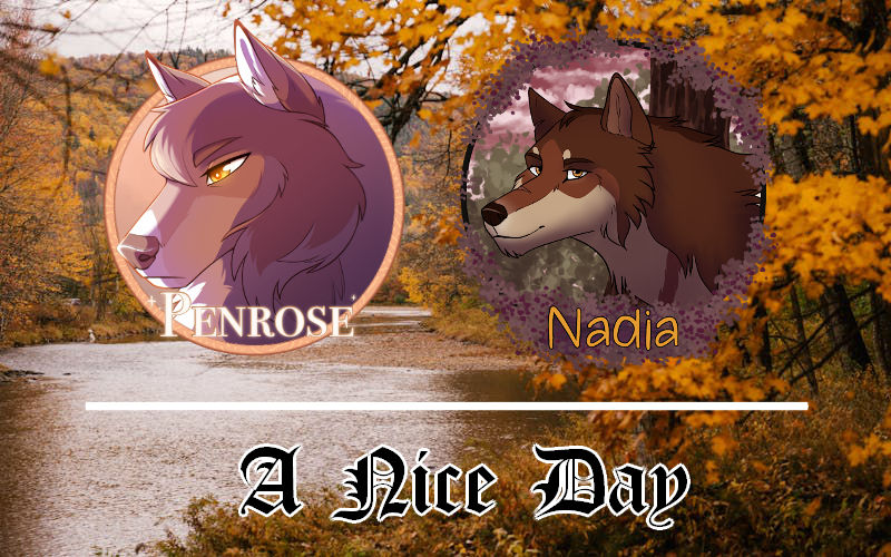 DotW | A Nice Day by 4everhound on DeviantArt