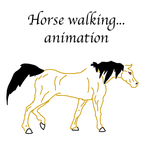 Horse animations