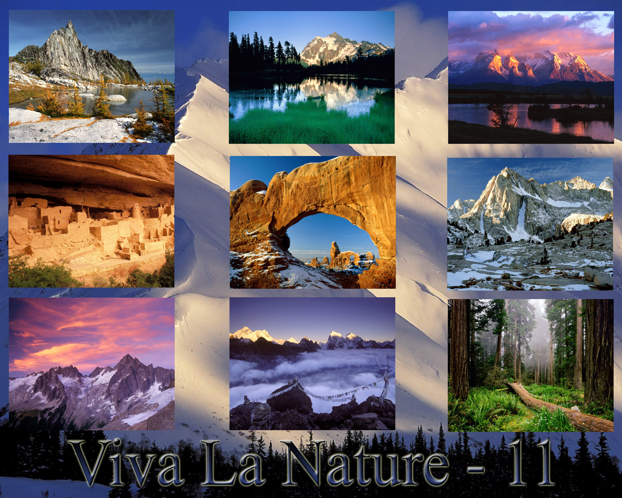 Viva La nature wall pack v.11