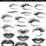 Lips and Lashes psd files