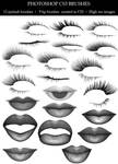 Lips and Lashes psd files