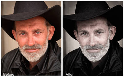 Portrait Action by provity