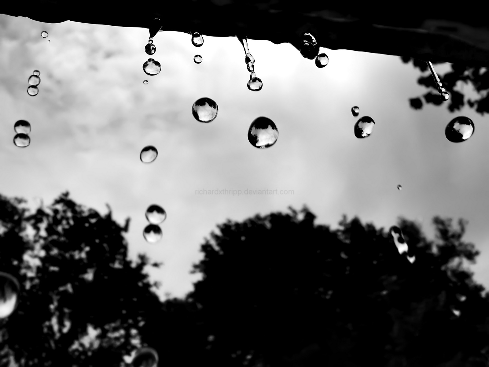 Raindrops Wallpaper By Richardxthripp On Deviantart