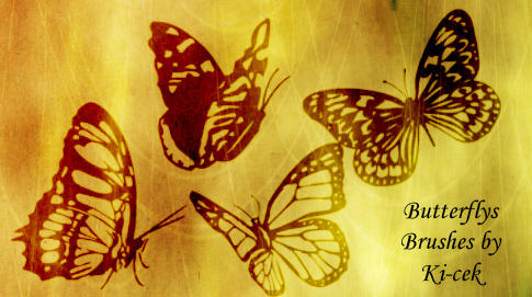 Butterflys Brushes by ki-cek on DeviantArt