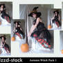 Autumn Witch Pack 1