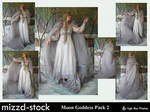 Moon Goddess pack 2 by mizzd-stock