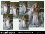 Moon Goddess Pack 3 by mizzd-stock