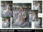 Moon Goddess Pack 5 by mizzd-stock