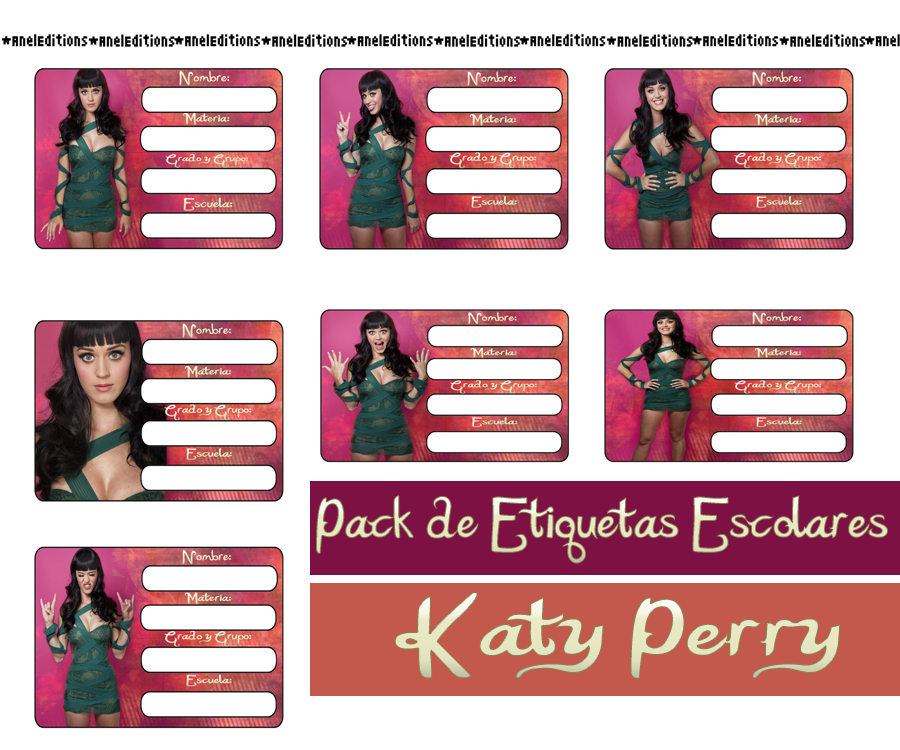 Etiquetas Escolares de Katy Perry (.ZIP)